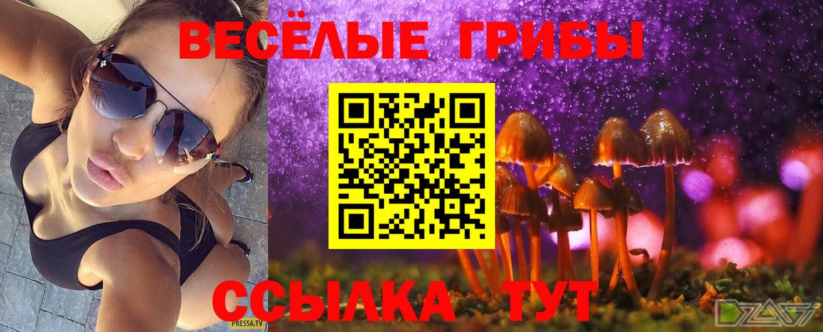 Благодарный  Псилоцибиновые грибы мухоморы  где найти наркотики  Вход с VPN  Псилоцибиновые грибы MAGIC MUSHROOMS 